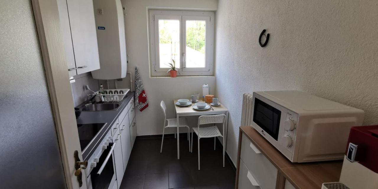 Helvetia 2 Zimmer Apartment Mit Parkplatz チューリッヒ エクステリア 写真