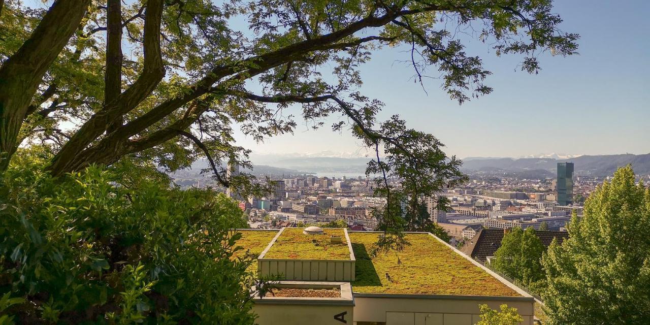 Helvetia 2 Zimmer Apartment Mit Parkplatz チューリッヒ エクステリア 写真